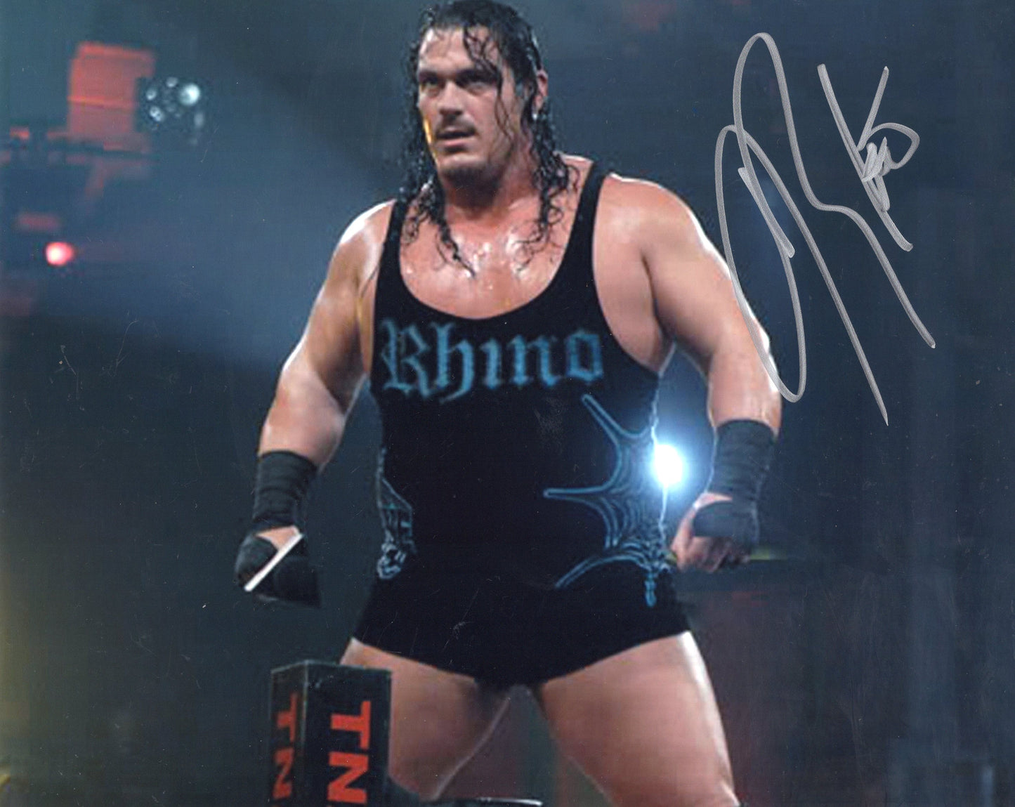 Rhyno Rhino ECW WWF WWE 8x10 photo signed auto autograph