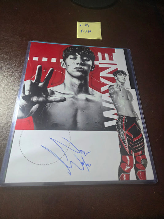 Nick Wayne (funhouse metallic 11x14) photo signed auto autographed AEW