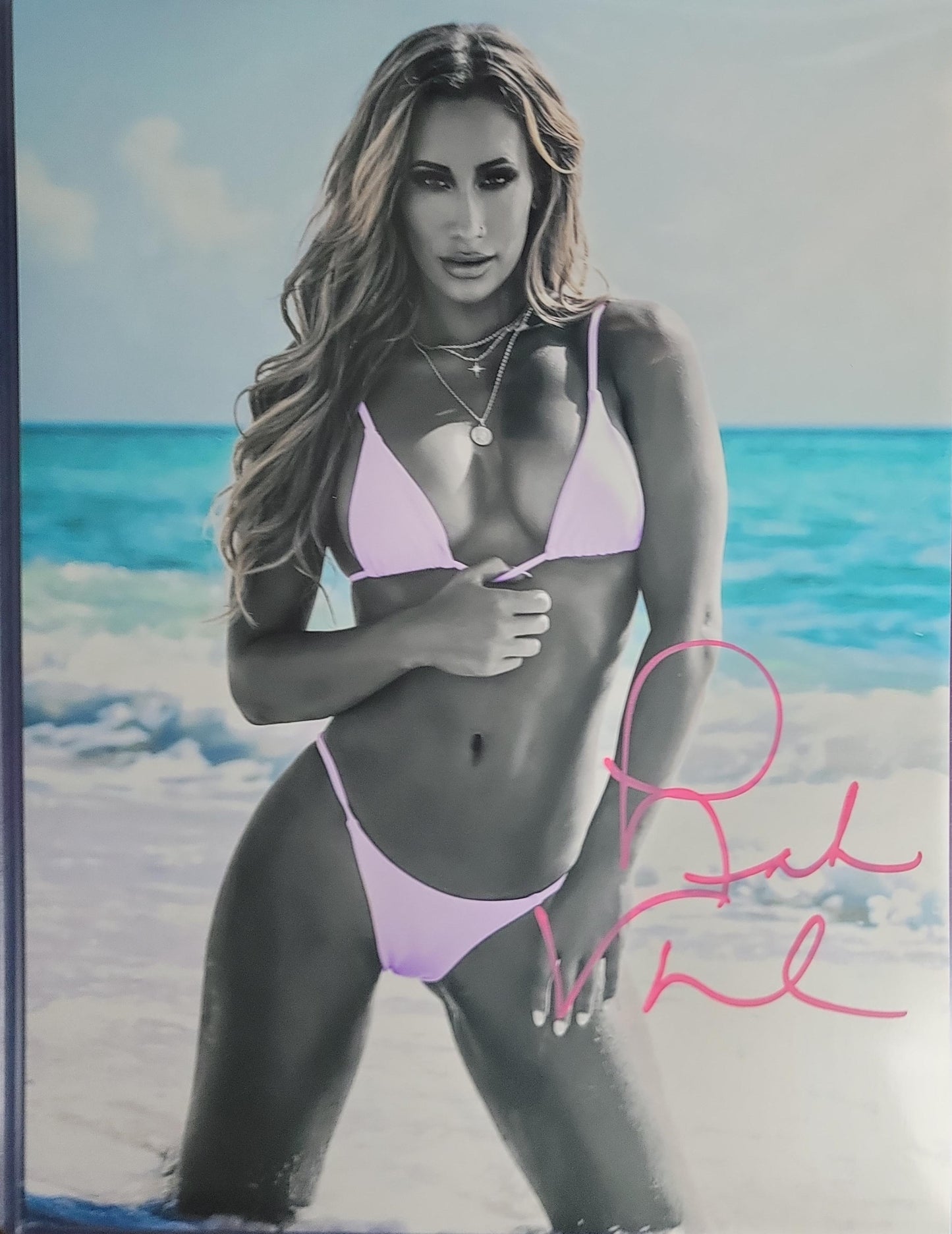 Carmella leah van dale (metallic 11x14) photo signed auto autographed WWE rare