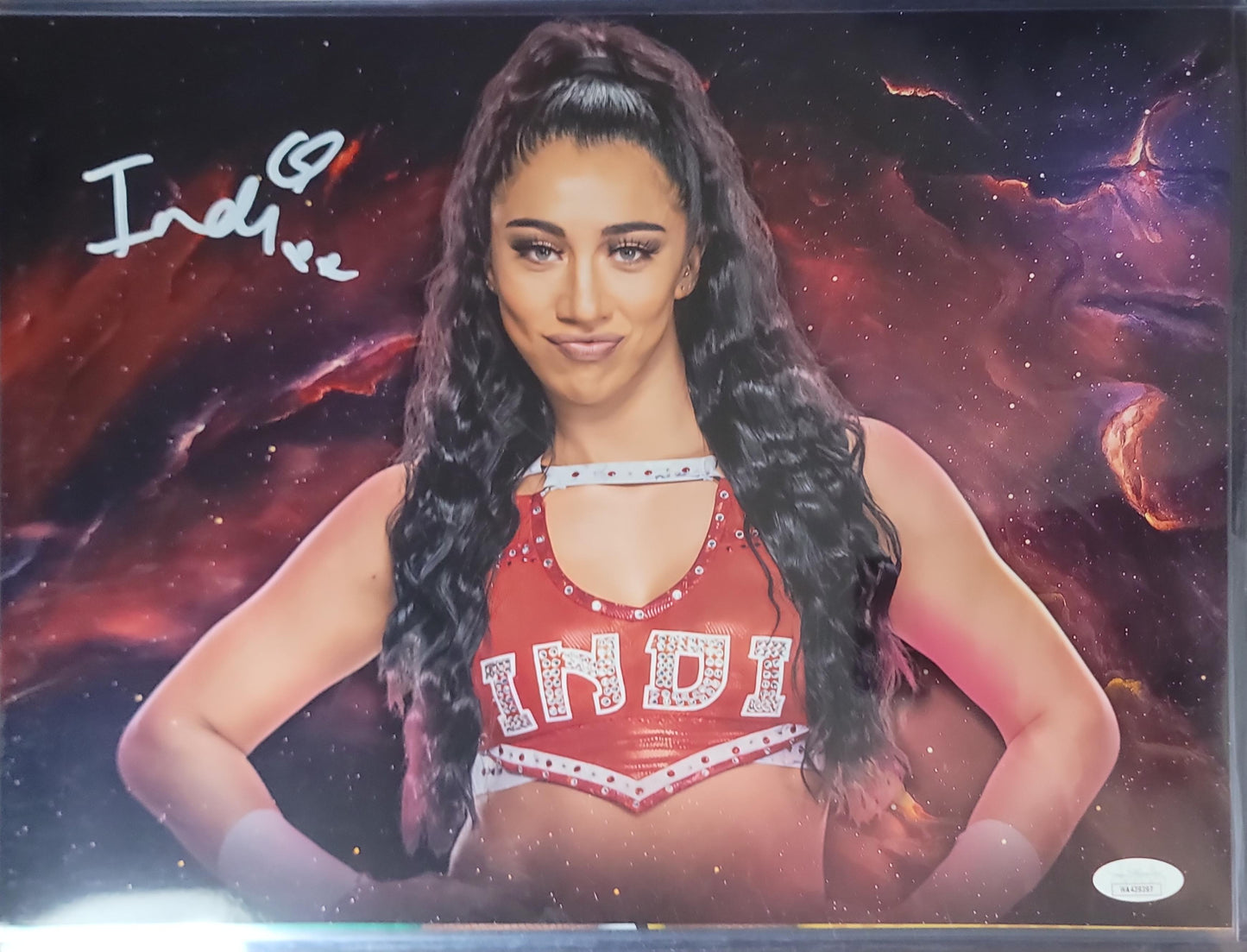 Indi Hartwell (metallic 11x14) NXT WWE Sexy Hot signed autographed photo