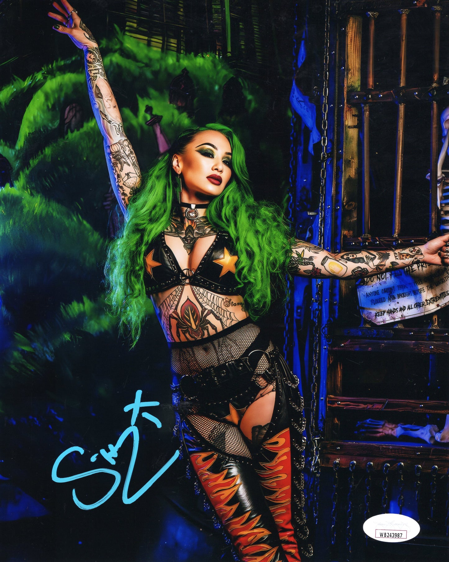 Shotzi (8x10 metallic) Funhouse JSA COA photo signed auto autographed WWE