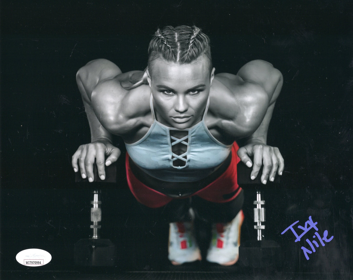 Ivy Nile (8x10 metallic) NXT photo signed auto autographed WWE