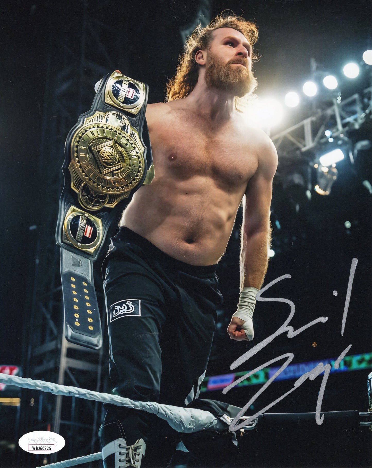 Sami Zayn 8x10 jsa photo signed auto autographed WWE