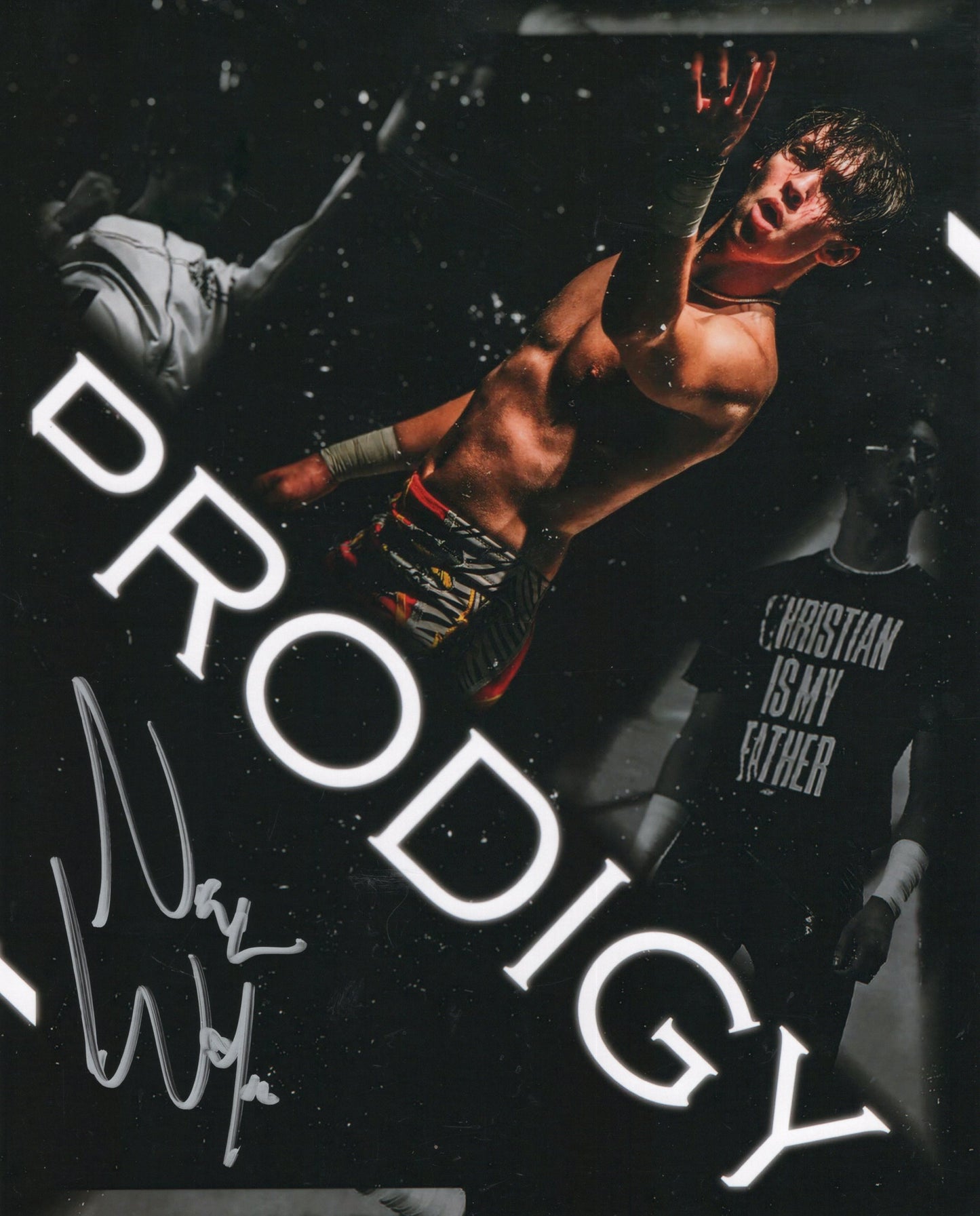 Nick Wayne (funhouse metallic 8x10) photo signed auto autographed AEW
