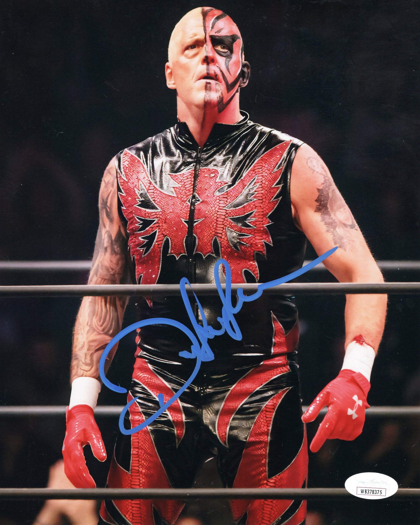 Dustin Rhodes Goldust (8x10 metallic) JSA COA TNA AEW photo signed autograph