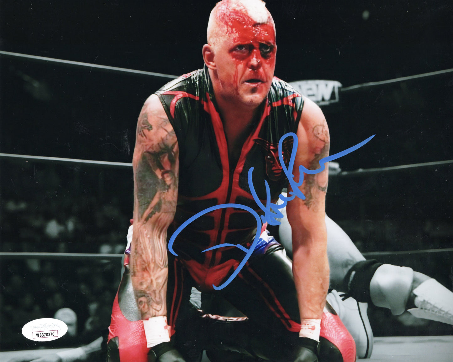 Dustin Rhodes Goldust (8x10 metallic) JSA COA TNA AEW photo signed autograph