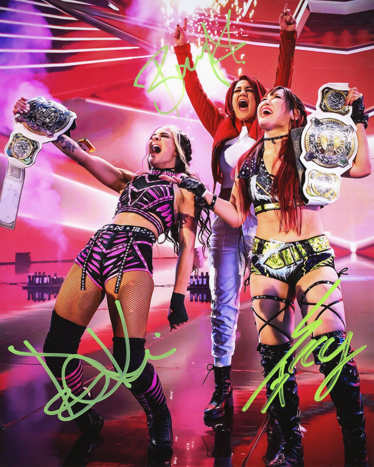Damage Control funhouse (metallic 8x10) WWE photo signed auto autographed