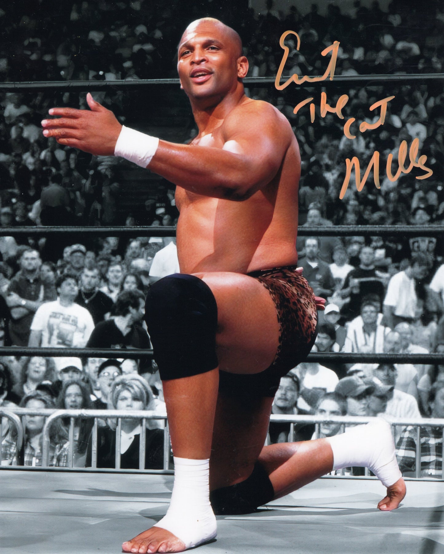 Ernest The Cat Miller (metallic 8x10) funhouse photo signed auto autographed WCW