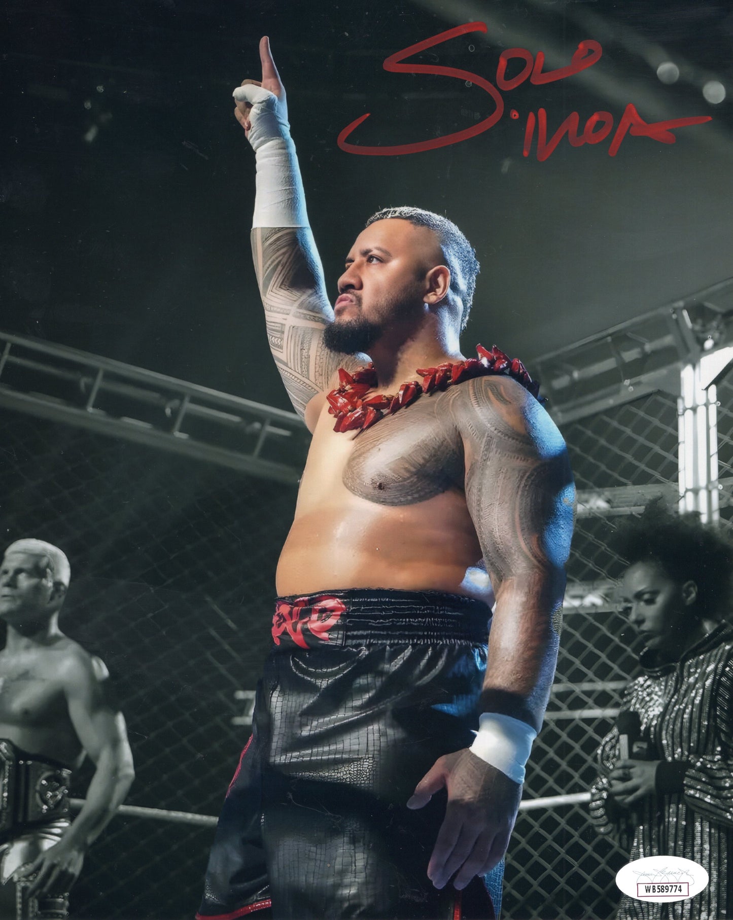Solo Sikoa (8x10 metallic) JSA COA photo signed auto autographed WWE