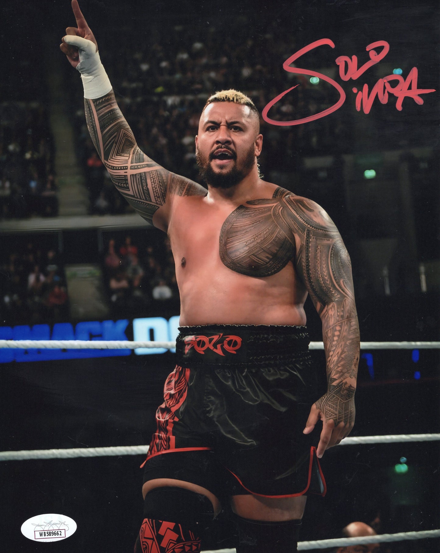 Solo Sikoa (8x10) JSA COA photo signed auto autographed