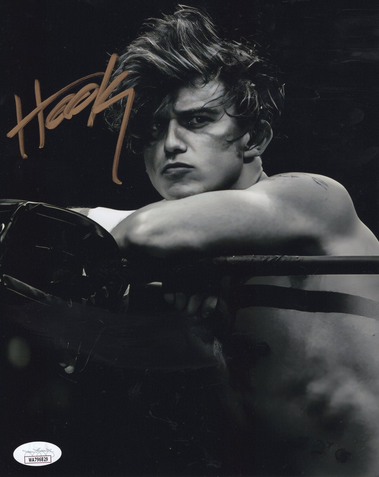 Hook signed (8x10) photo AEW auto autographed JSA COA