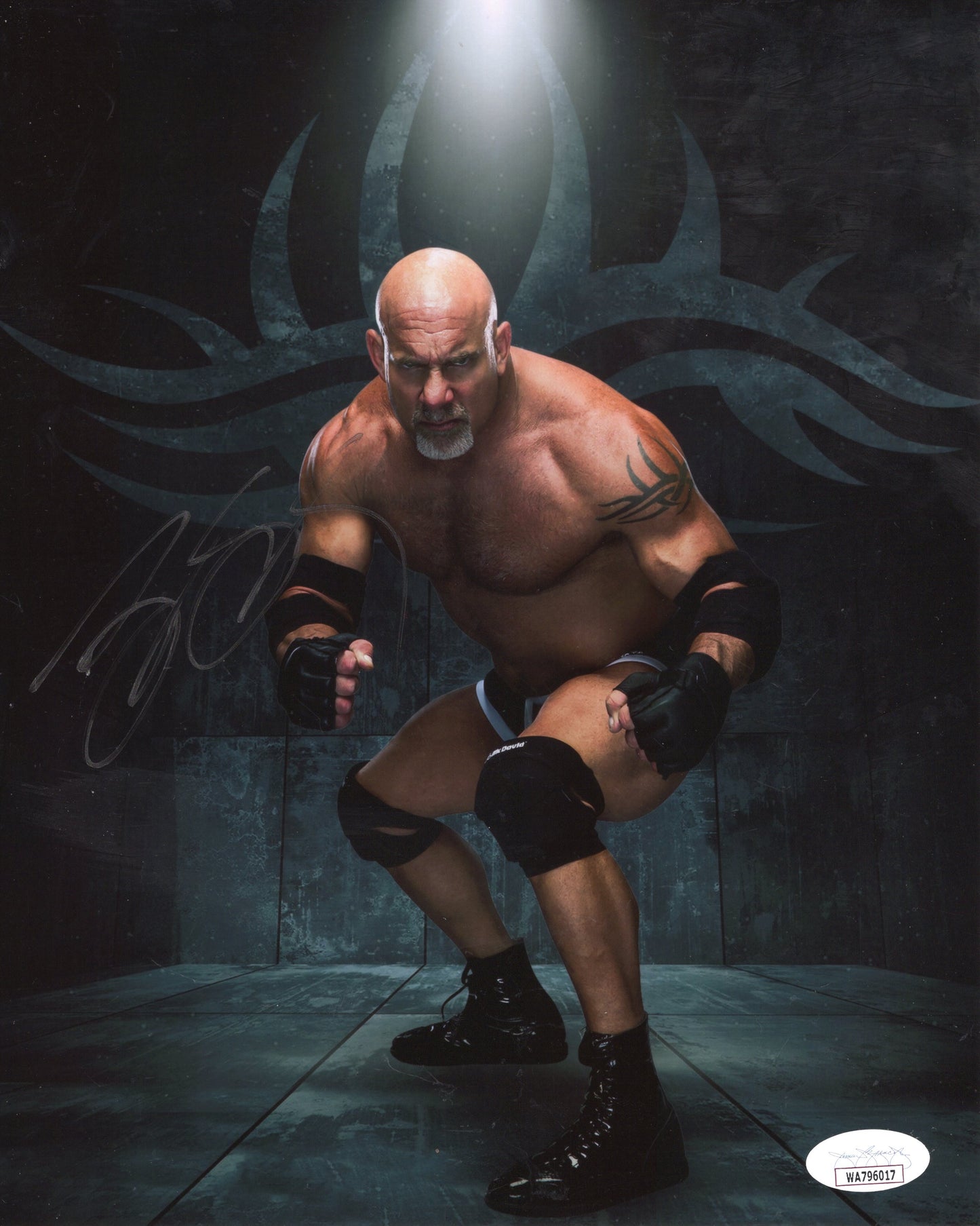 Goldberg (metallic 8x10) WWF WWE WCW JSA COA funhouse photo signed autographed