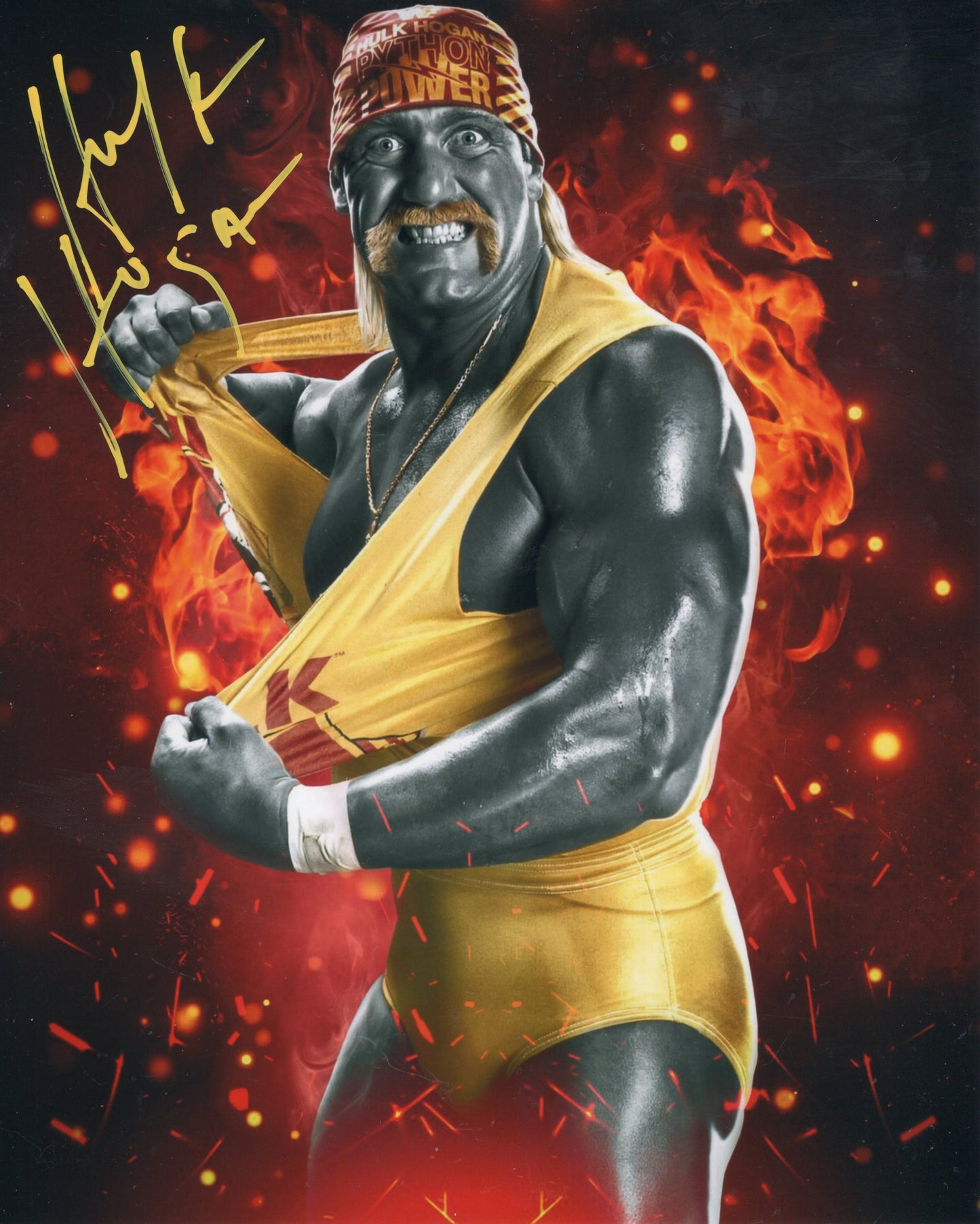 Hulk Hogan (metallic 8x10) photo Beach Shop COA TNA WWF WCW signed autographed