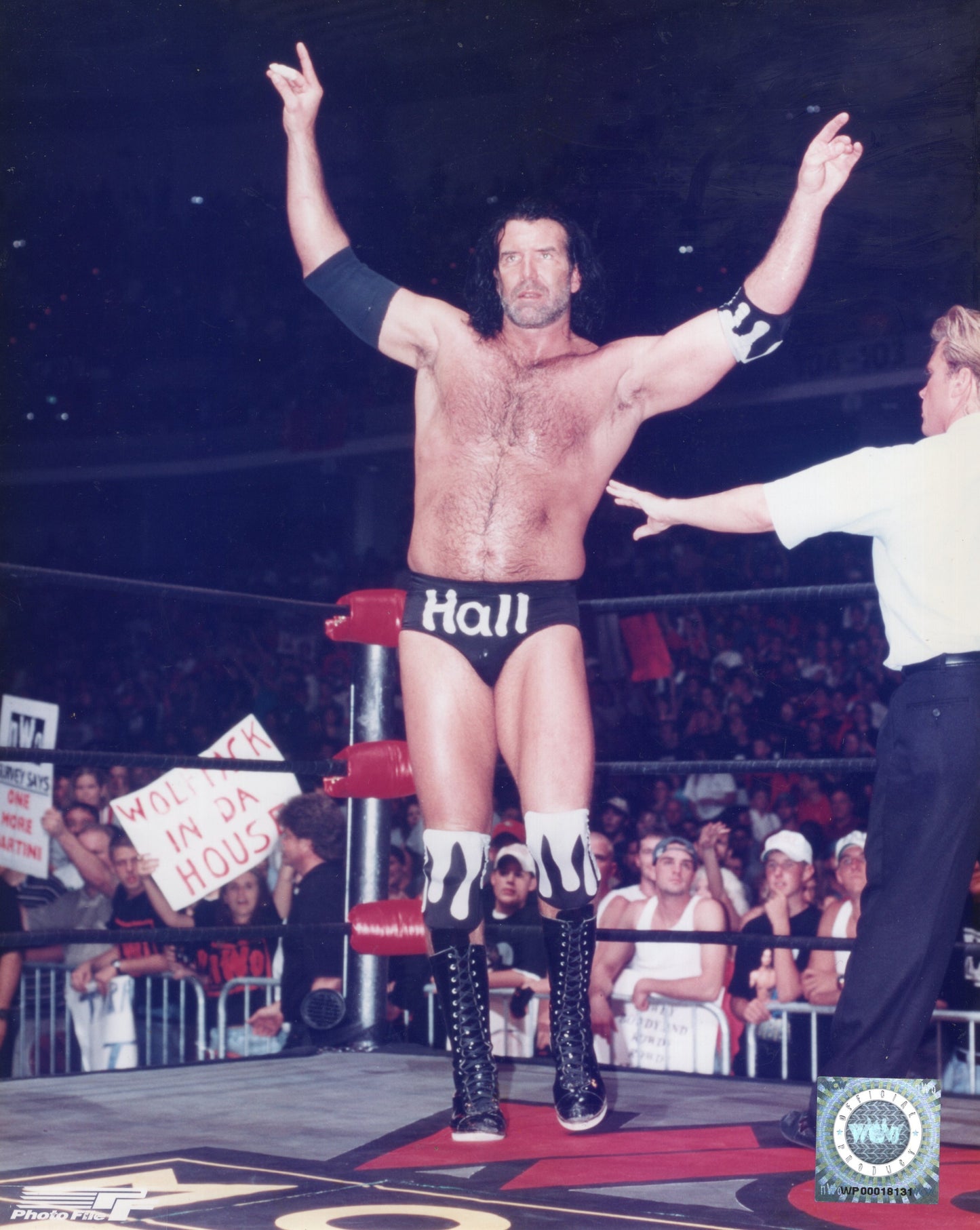 Unsigned Scott Hall WCW Photofile (8x10) WCW photo