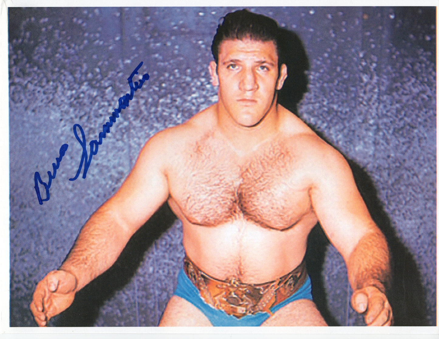 Bruno Sammartino WWF 8.5x11 photo signed auto autographed COA