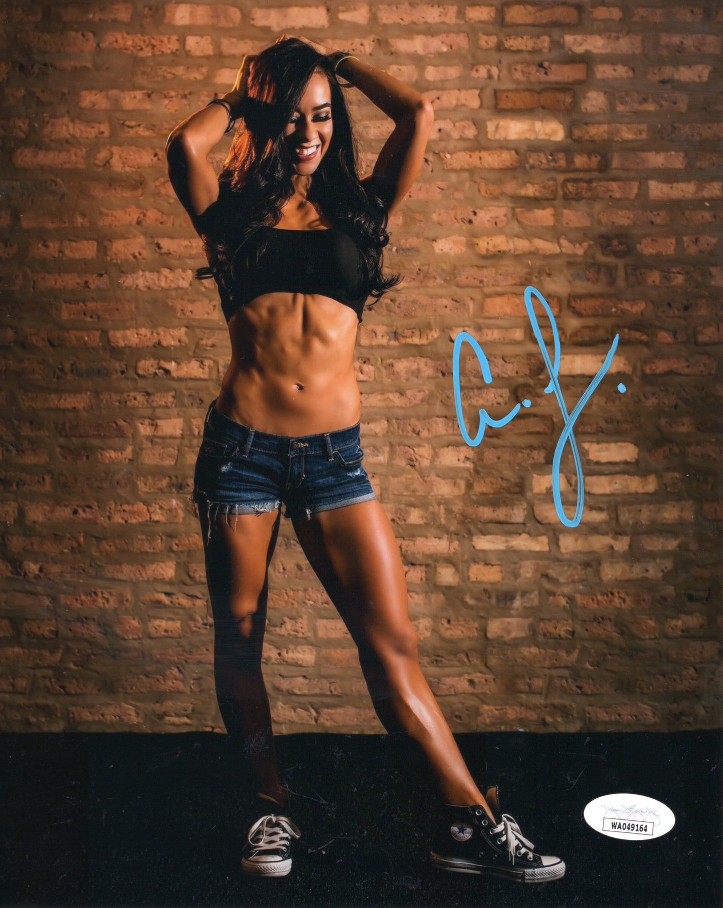 AJ Lee (Funhouse metallic 8x10) Autograph signed Photo jsa WWE Sexy auto