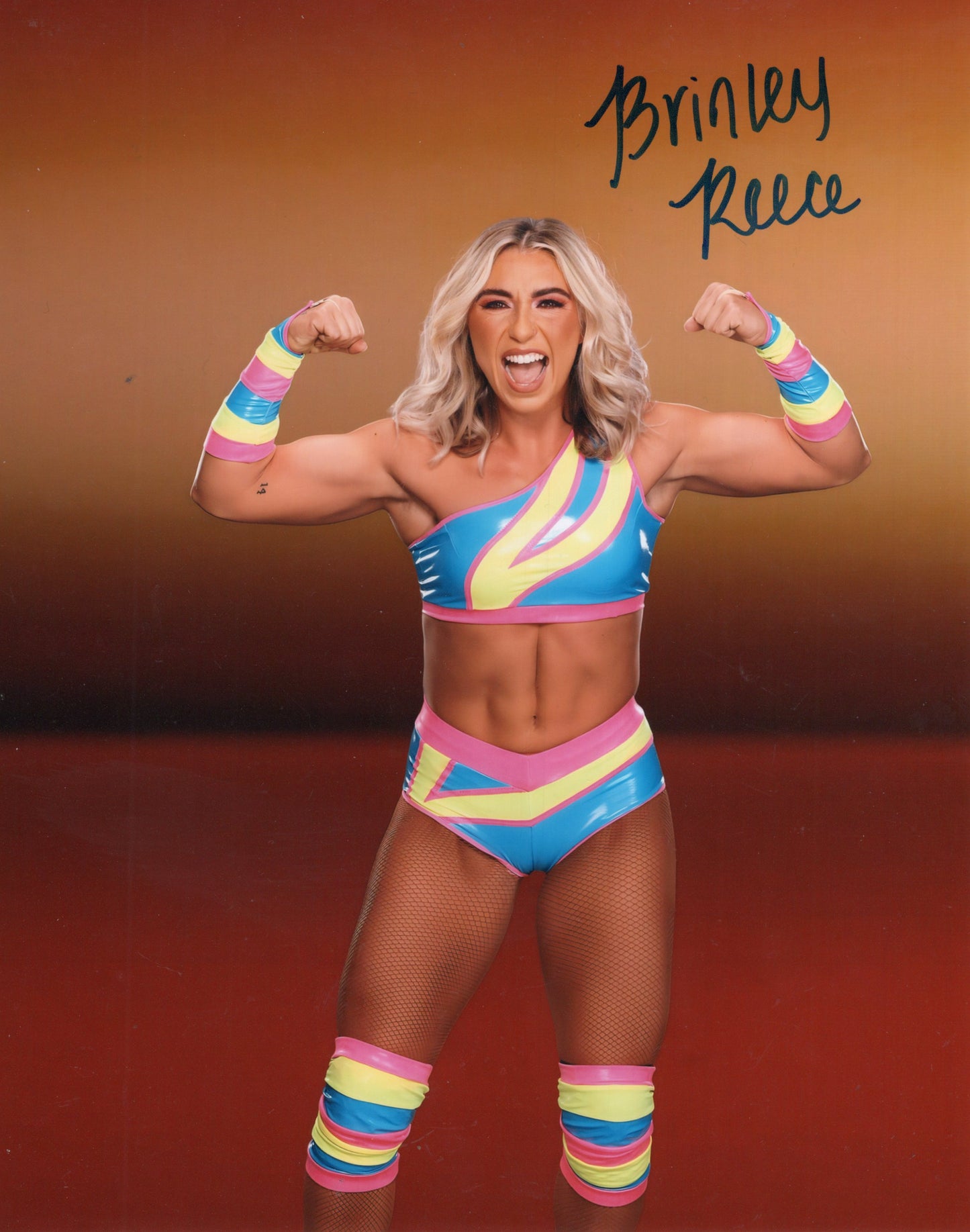 Brinley Reece 8x10 photo signed auto autographed WWE NXT