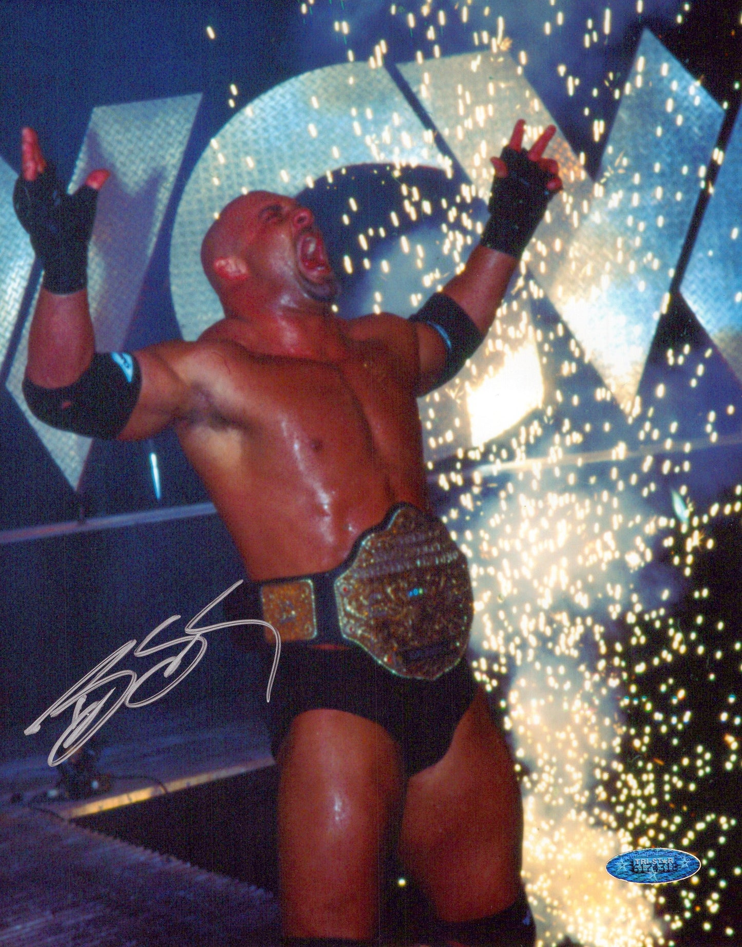 Goldberg WWF WWE WCW AEW 8x10 photo COA signed auto autographed