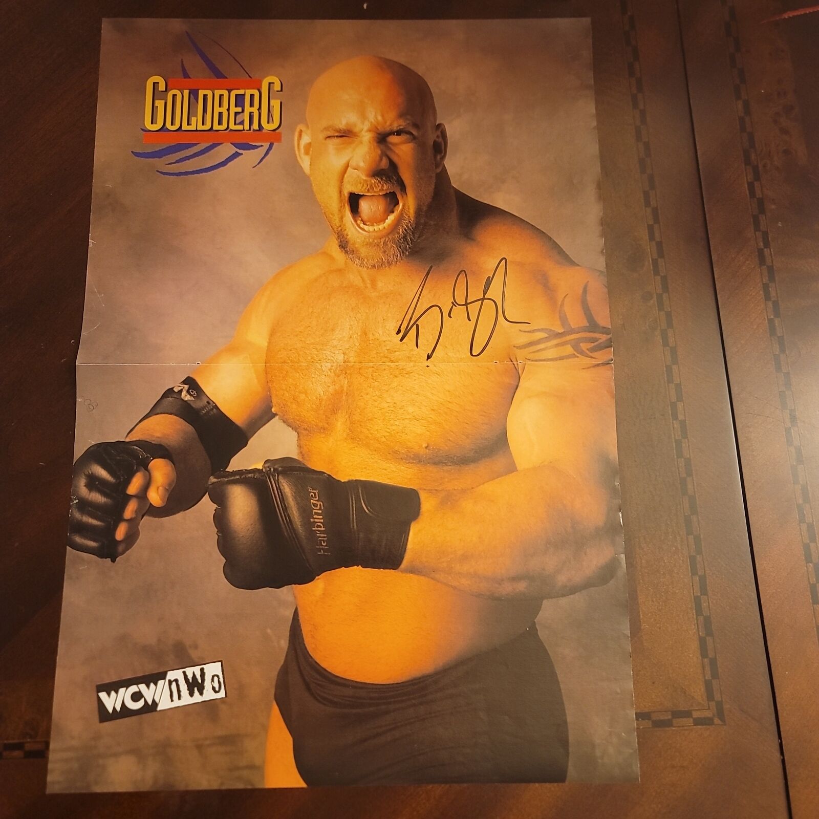 Goldberg (magazine poster) photo signed auto autographed – Funhouse  Autographs