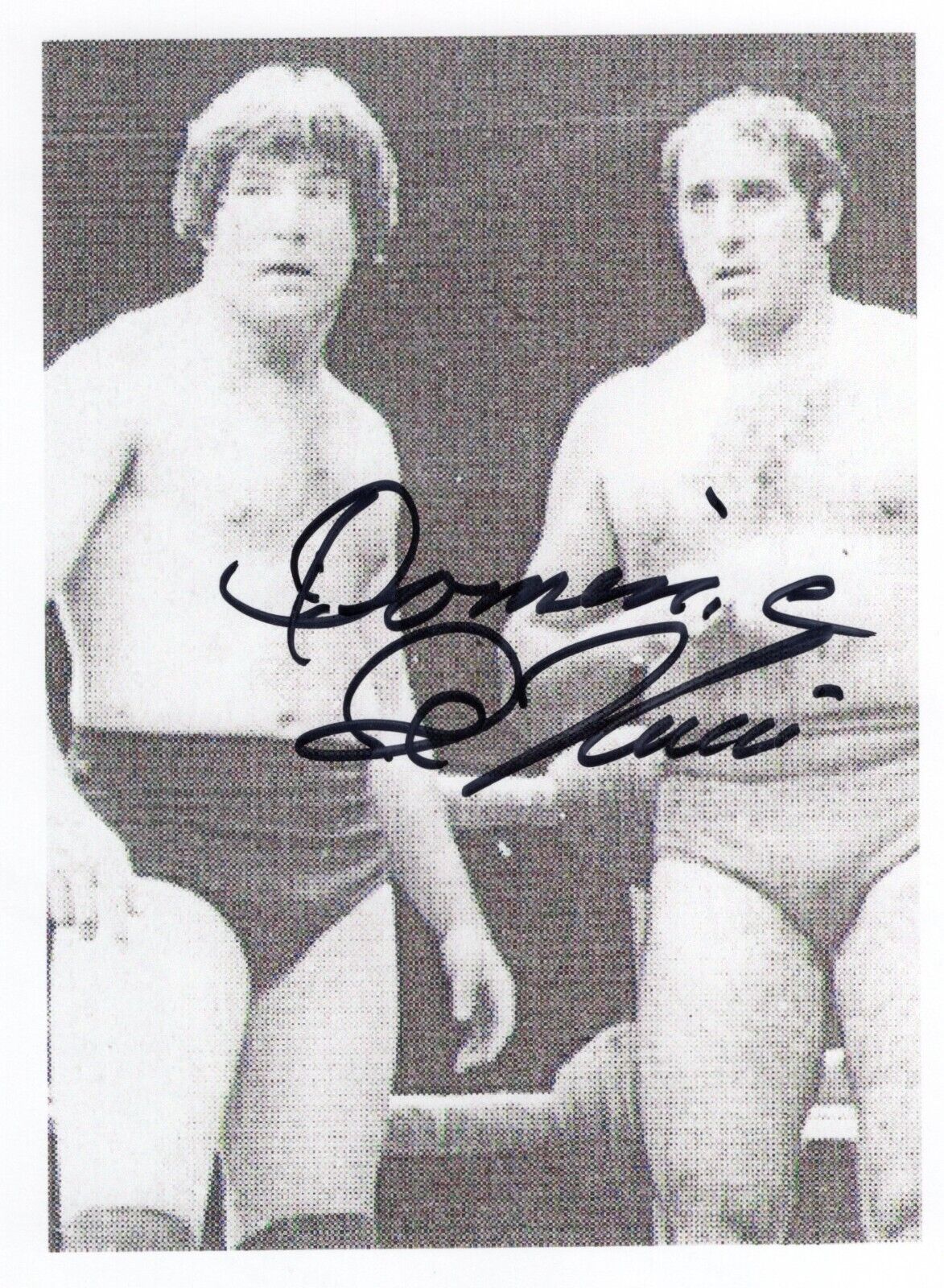 Dominic Denucci 8.5x11 signed autographed