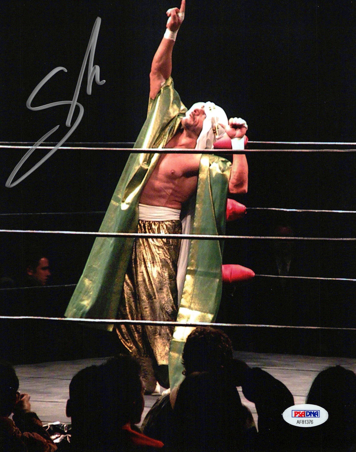 Sabu ECW WWE WCW 8x10 photo signed auto autograph PSA DNA COA