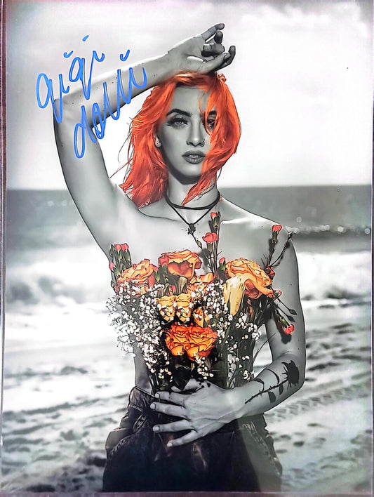 Gigi Dolin (11x14 metallic) funhouse WWE photo signed auto autographed