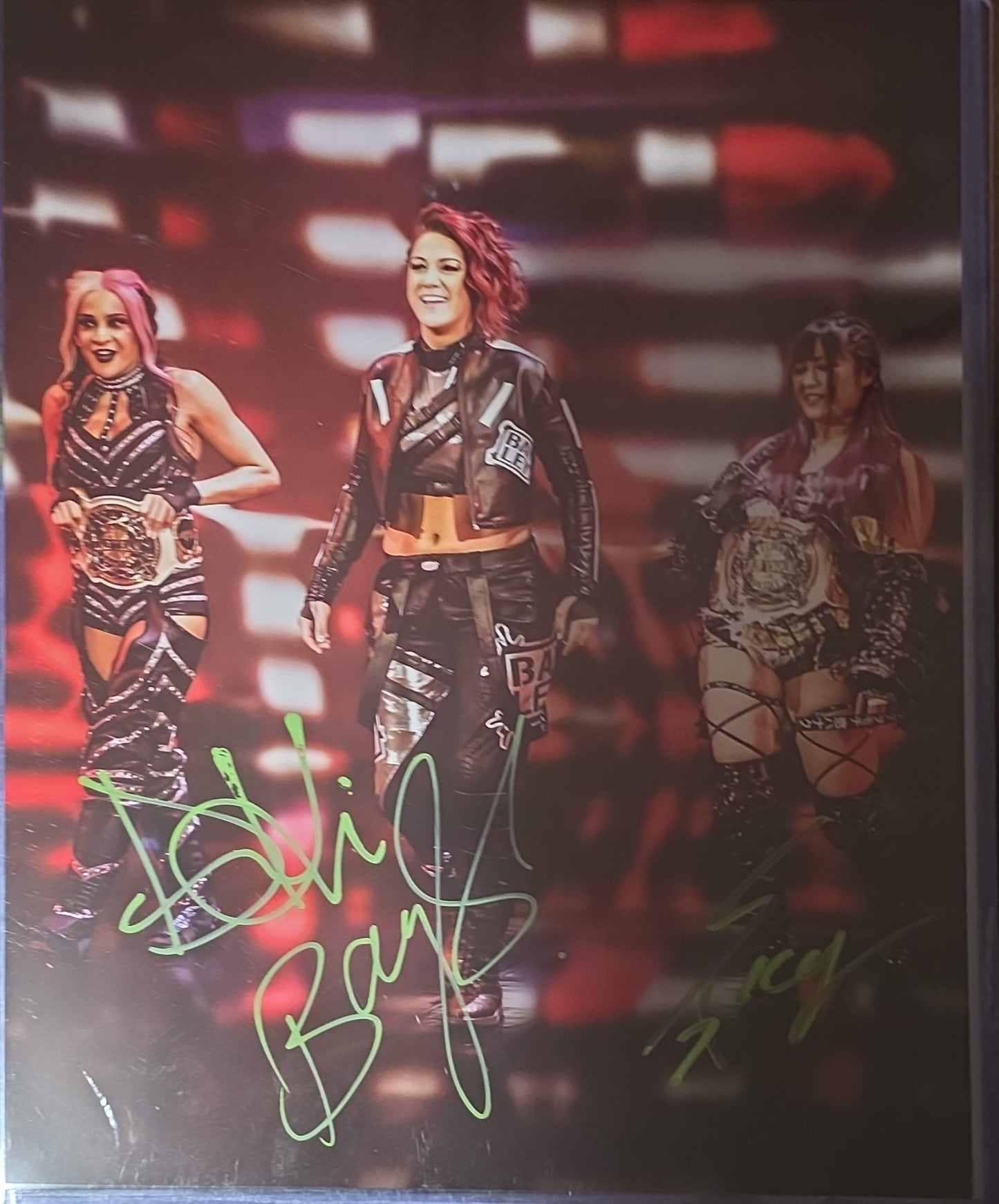 Damage Control funhouse (metallic 11x14) WWE photo signed auto autographed