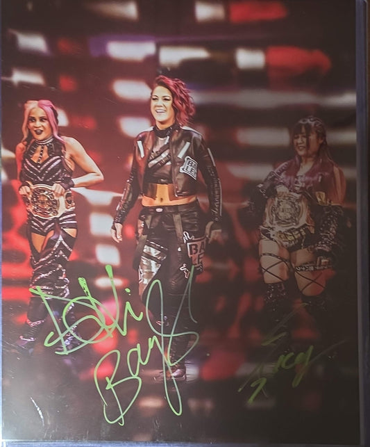 Damage Control funhouse (metallic 11x14) WWE photo signed auto autographed