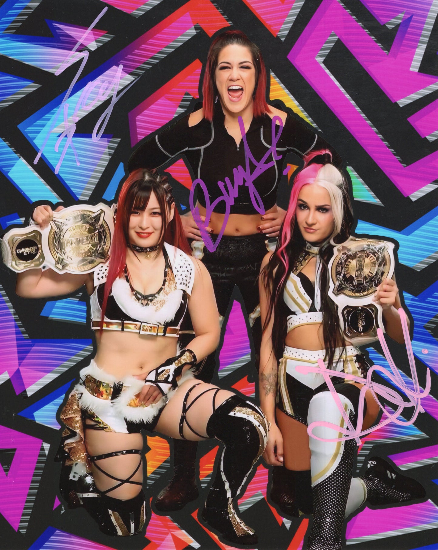 Damage Control (custom funhouse metallic 8x10) WWE photo signed auto autographed