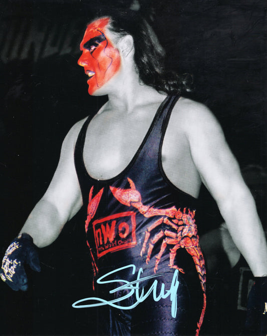 Sting  8x10 metallic photo signed auto autographed