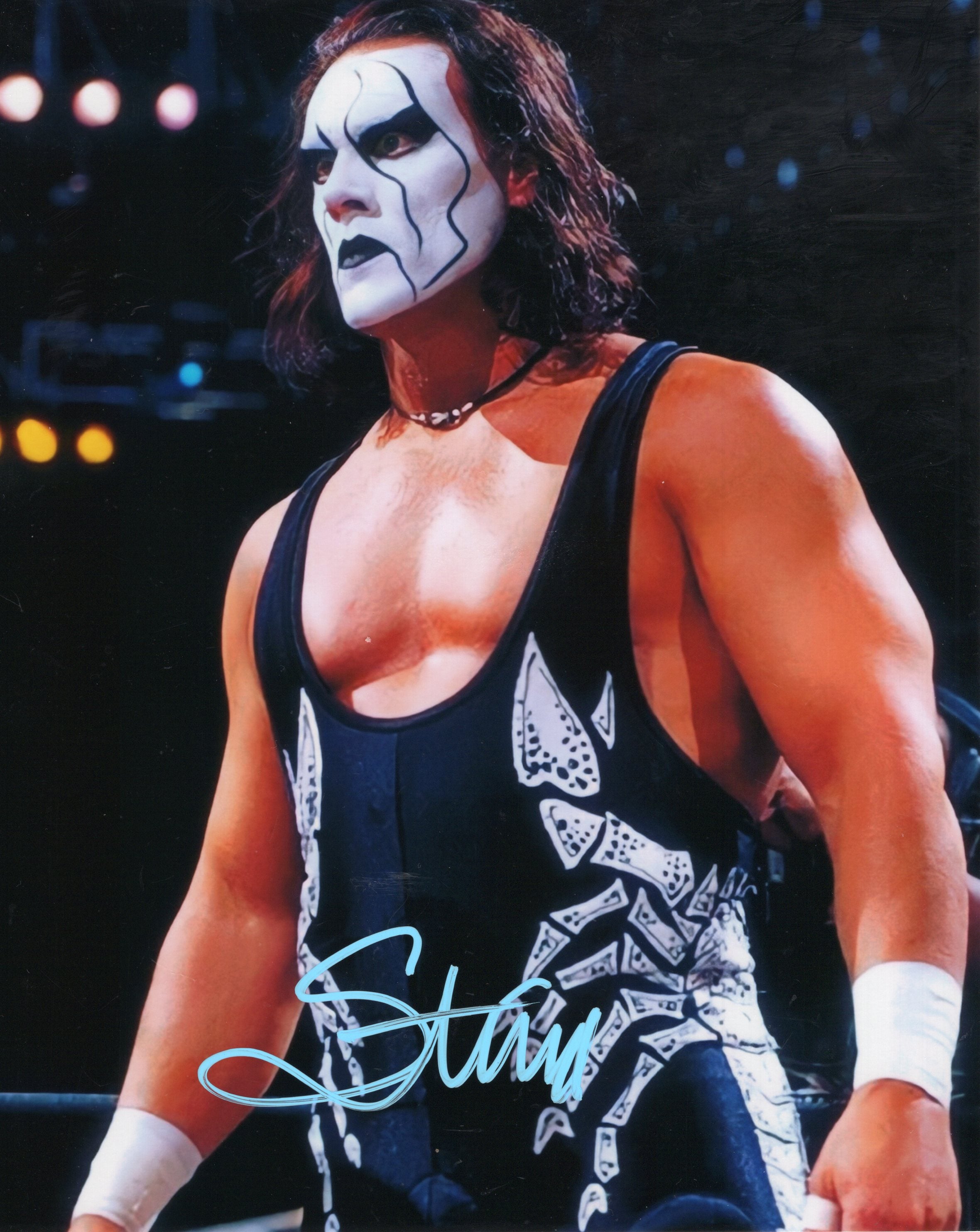 Sting 16x20 WWE orders Autograph AEW Signed