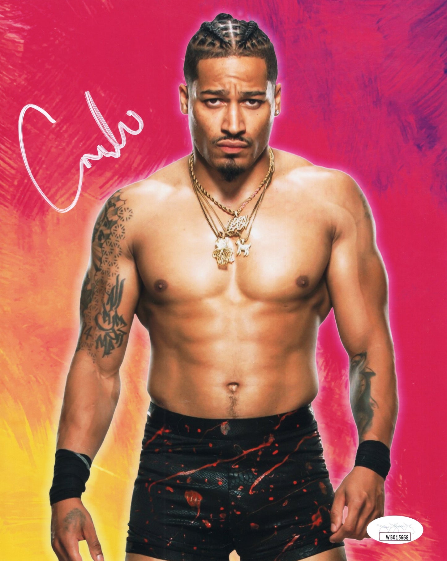 Carmelo Hayes jsa NXT  (funhouse metallic 8x10) photo signed autographs