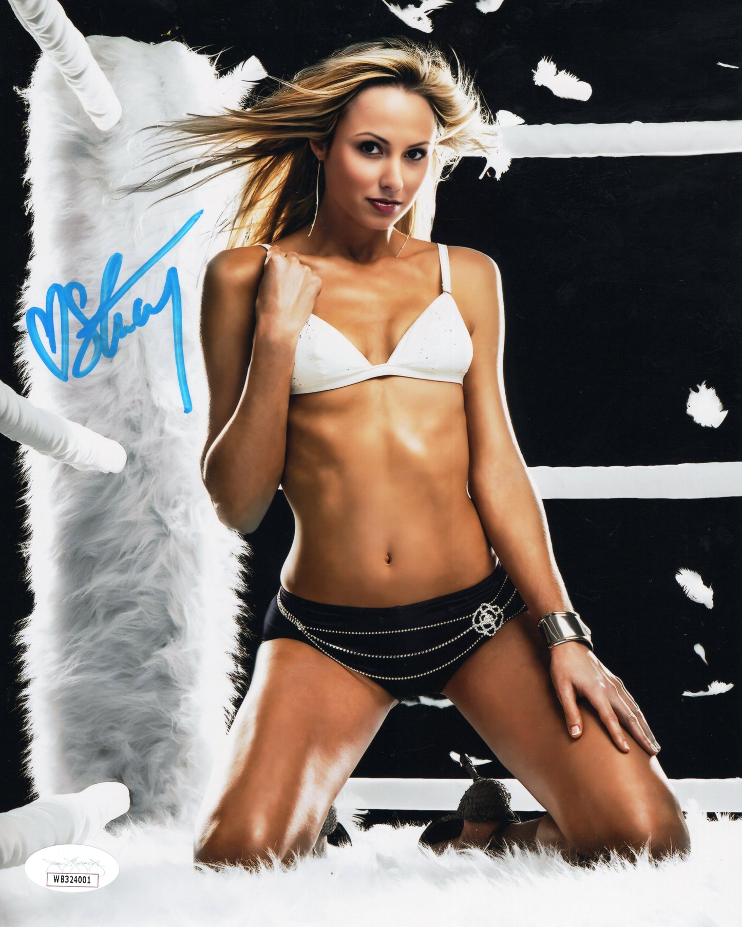 Stacy Keibler (8x10 Metallic) JSA COA WWF WCW photo signed auto  Furry ring