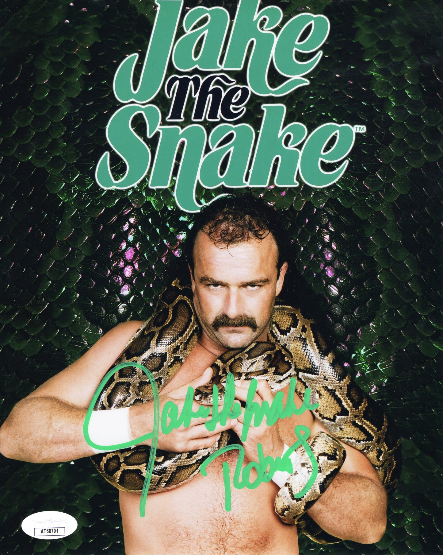 Jake Roberts The Snake (8x10 Metallic) JSA COA WWF WCW photo signed auto