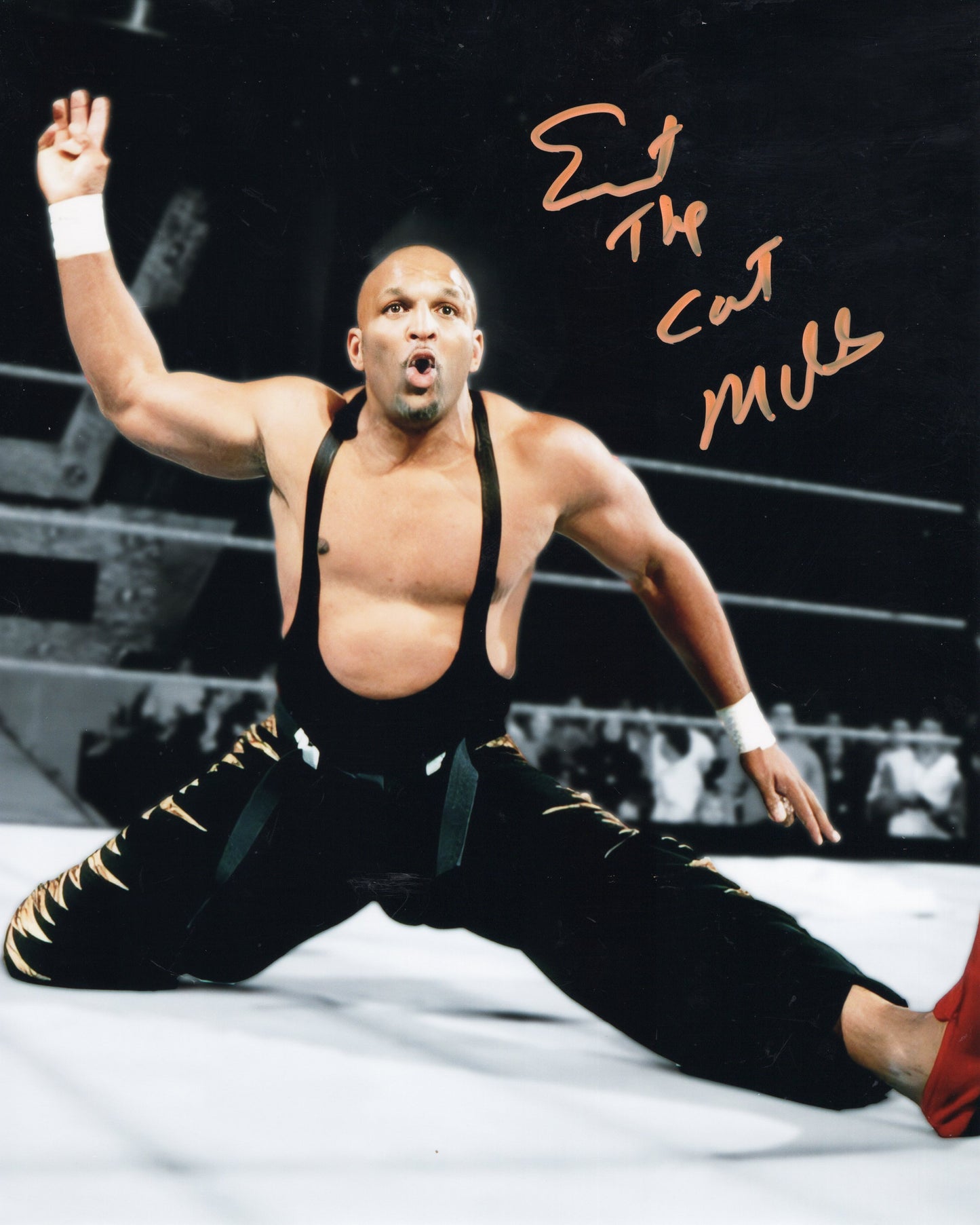 Ernest The Cat Miller (metallic 8x10) funhouse photo signed auto autographed WCW