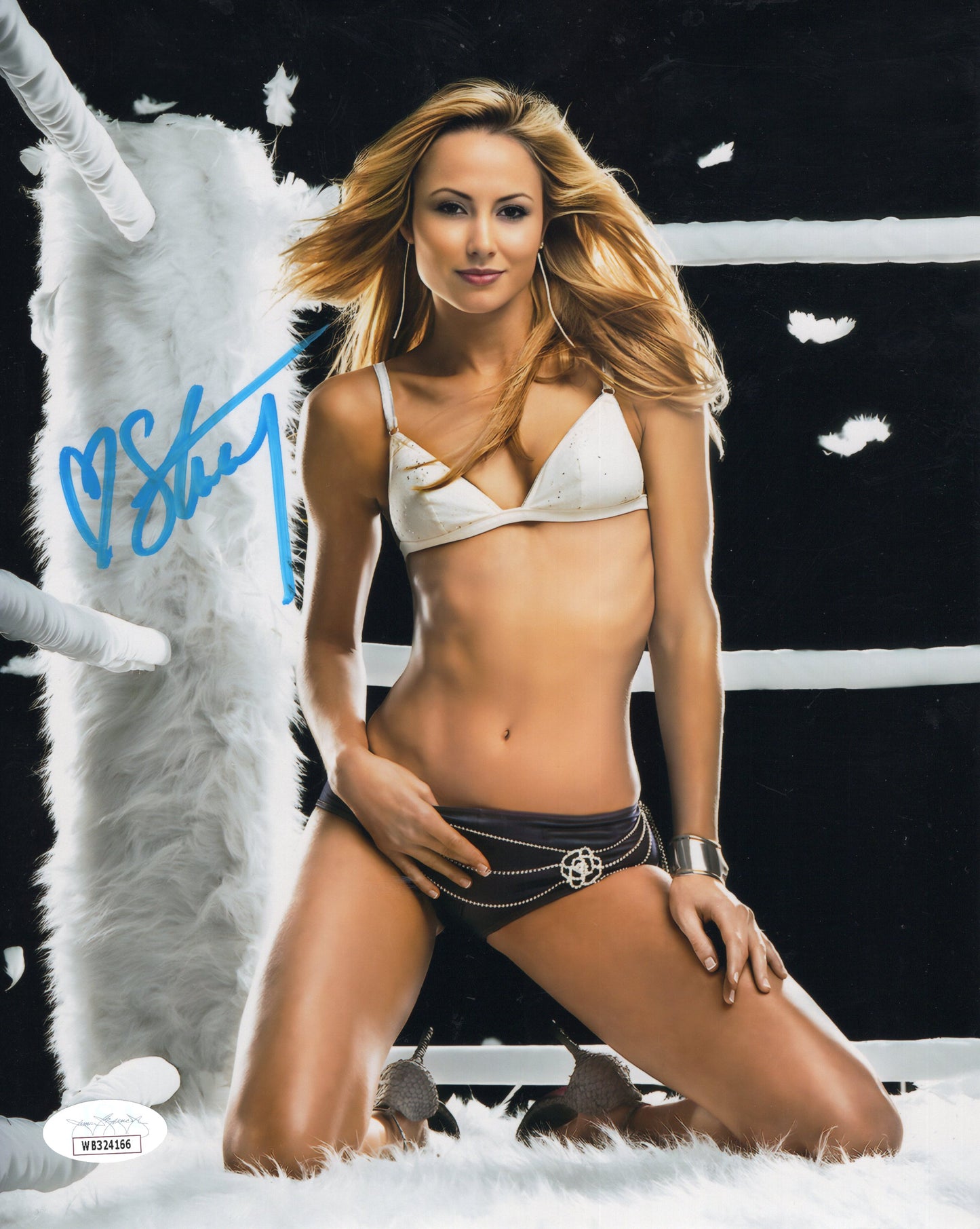 Stacy Keibler (8x10 Metallic) JSA COA WWF WCW photo signed auto  Furry ring