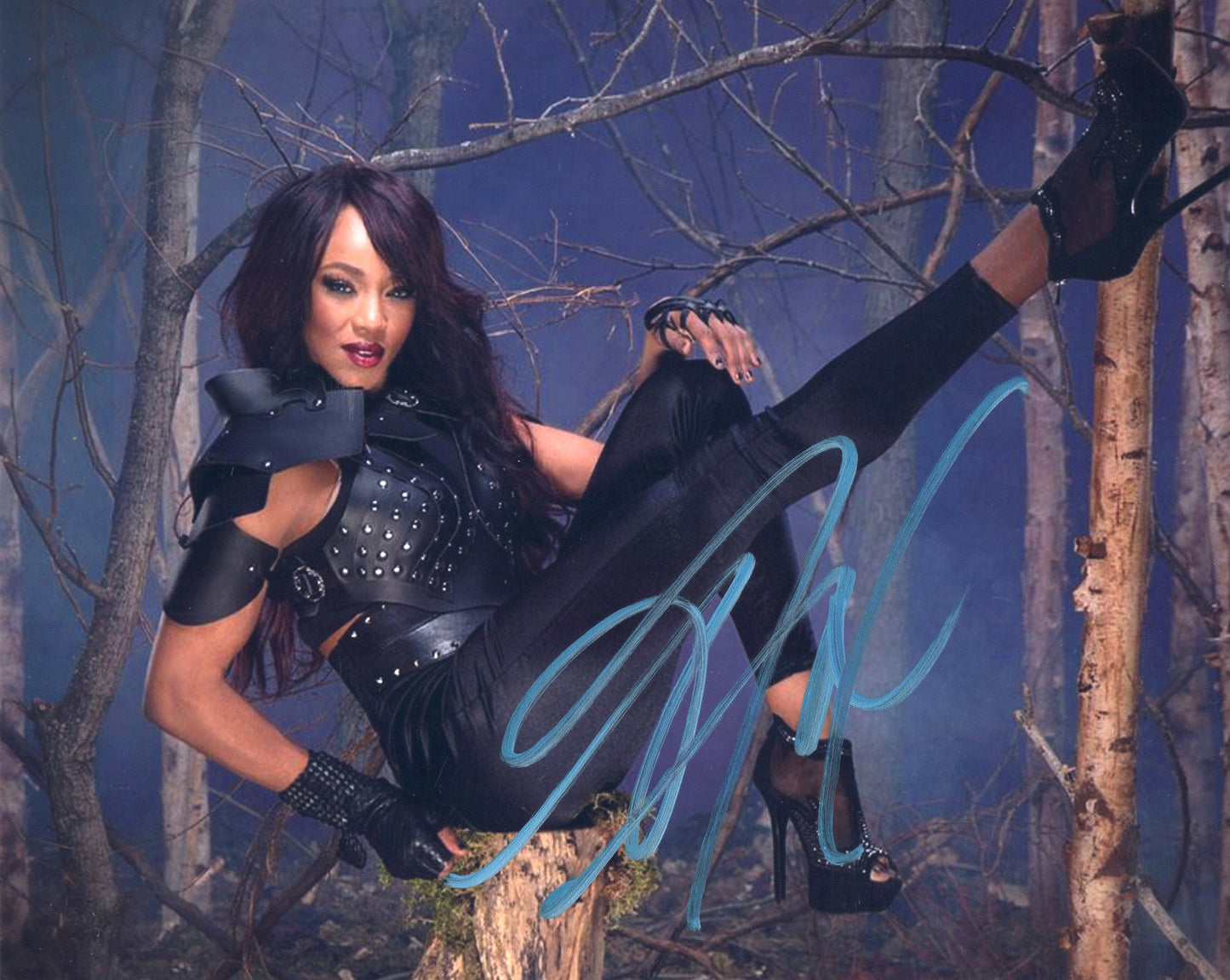 Alicia Fox (8x10) WWE photo signed auto autographed