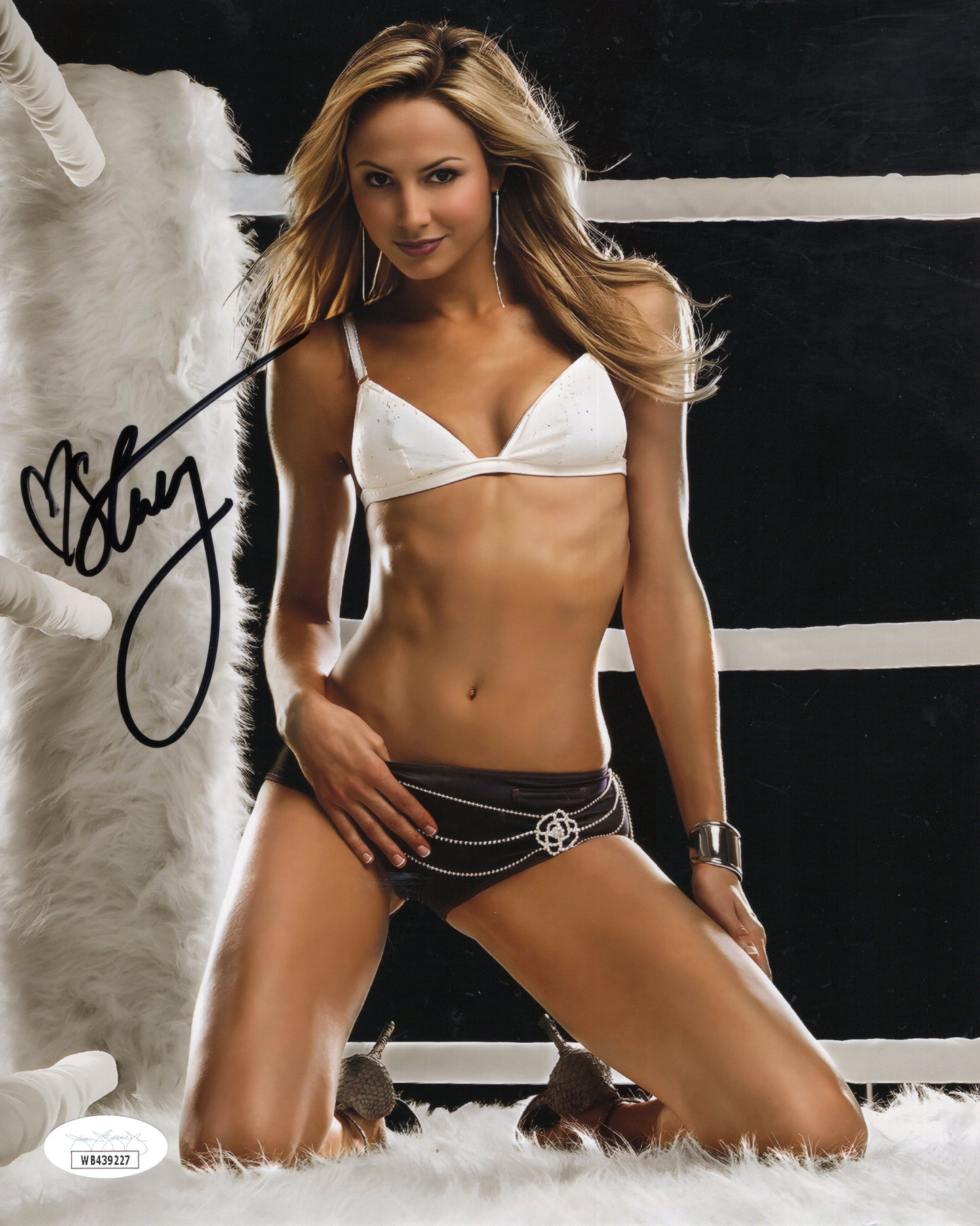 Stacy Keibler (8x10 ELITE METALLIC) JSA COA WWF WCW photo signed auto