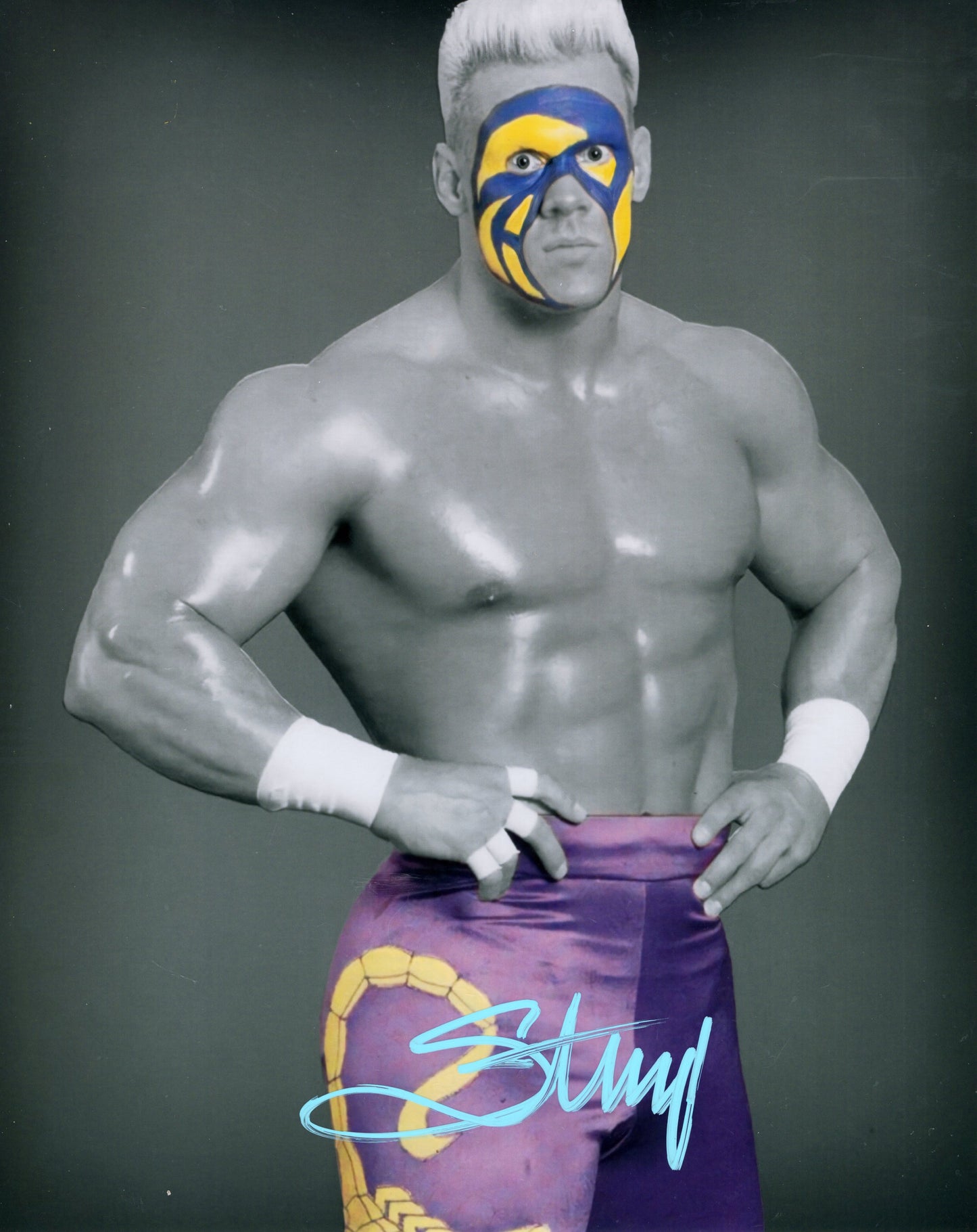 Sting (metallic 8x10) WCW WWE TNA NWO NWA photo signed auto autographed