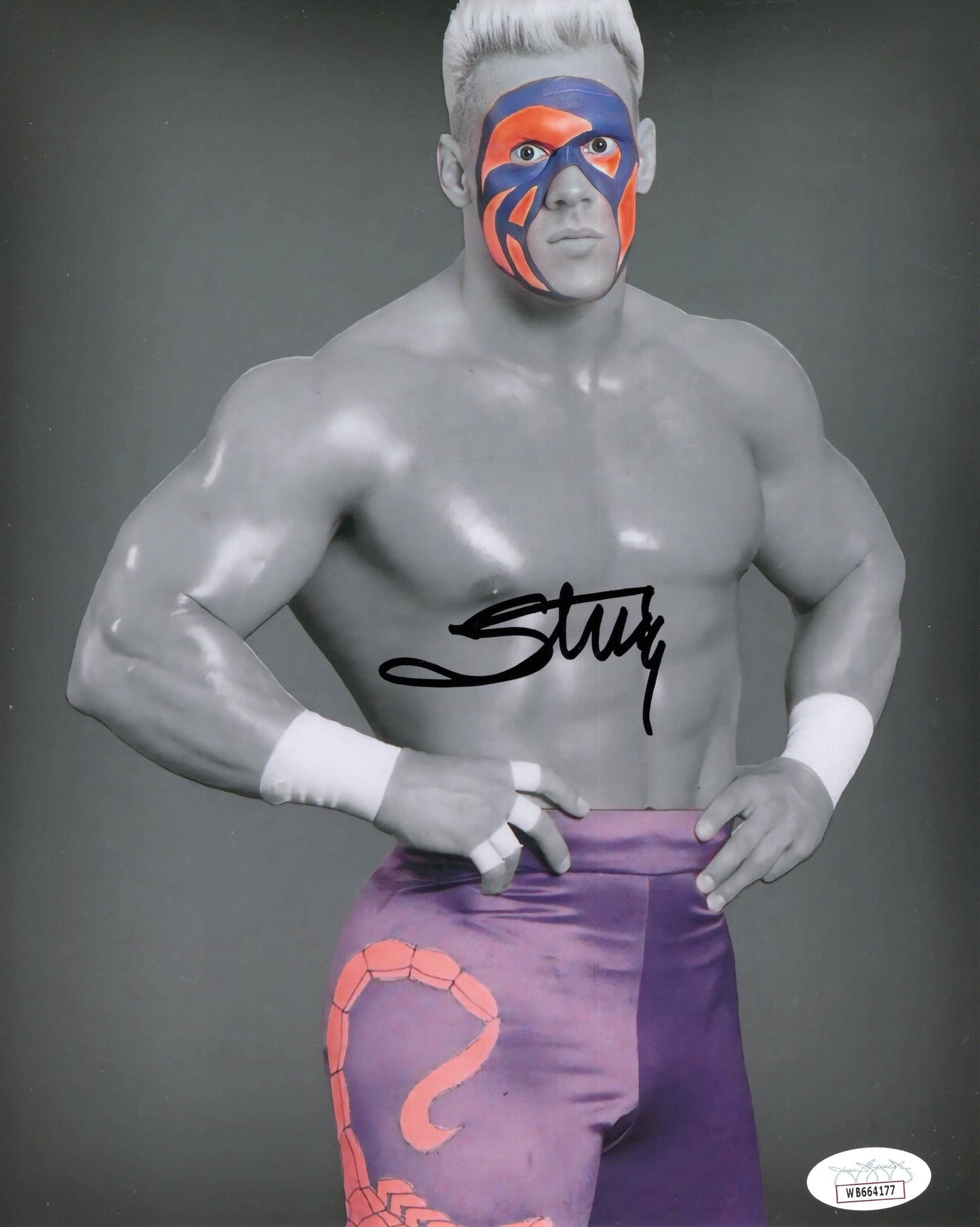 Sting (metallic 8x10) WCW WWE TNA NWO NWA photo signed auto autographed JSA