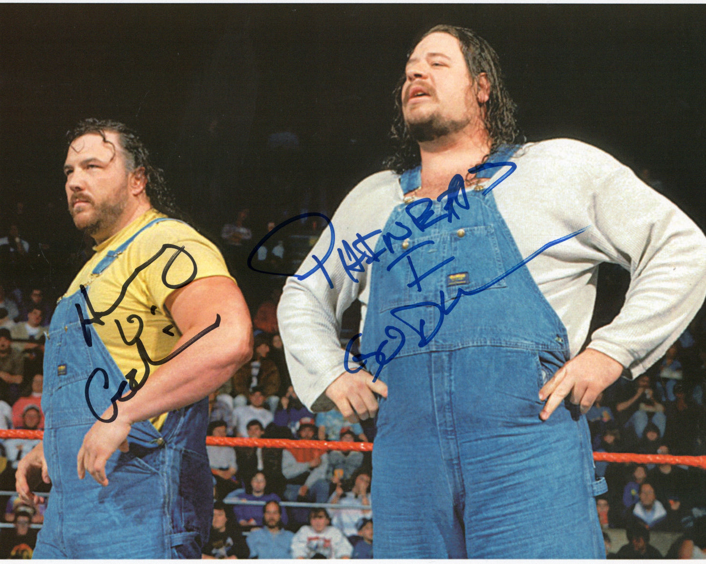 The Godwins 8x10 photo signed auto autographed WWF WCW