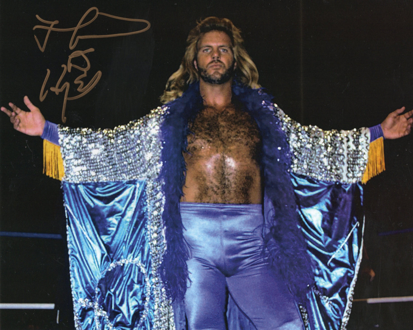 Michael P.S. Hayes (8x10) signed autographed WWF NWA WCW