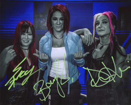 Damage Control funhouse (metallic 8x10) WWE photo signed auto autographed