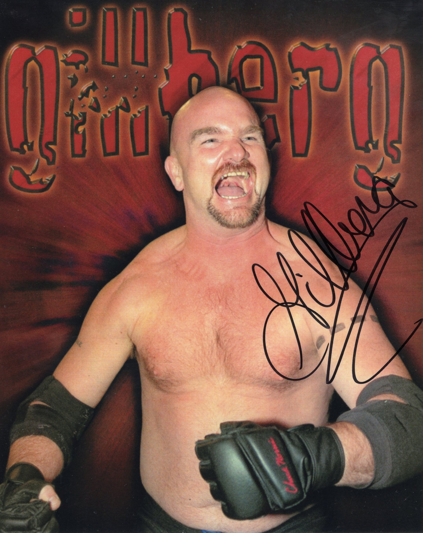 Gillberg WWE 8x10 photo signed auto autographed