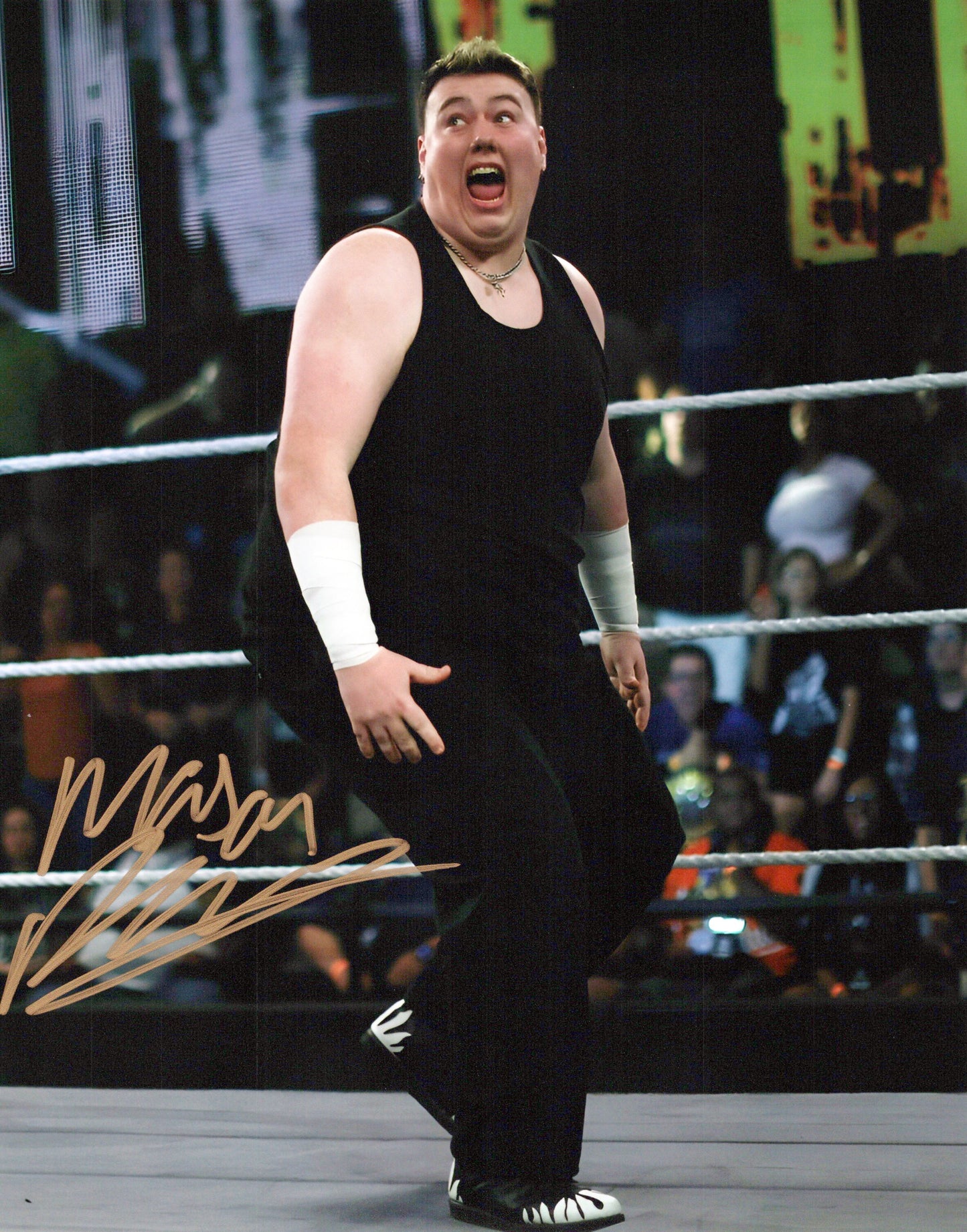 Mason Rook (8x10) WWE NXT photo signed auto autographed