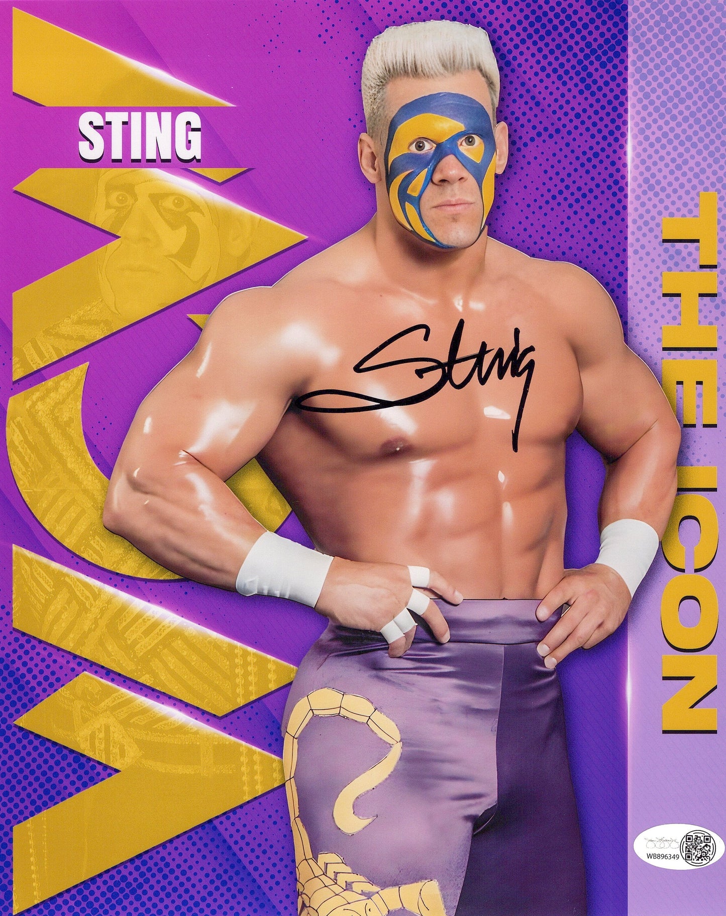 Bret Hart WCW edit Funhouse (metallic 8x10) JSA WWE photo signed
