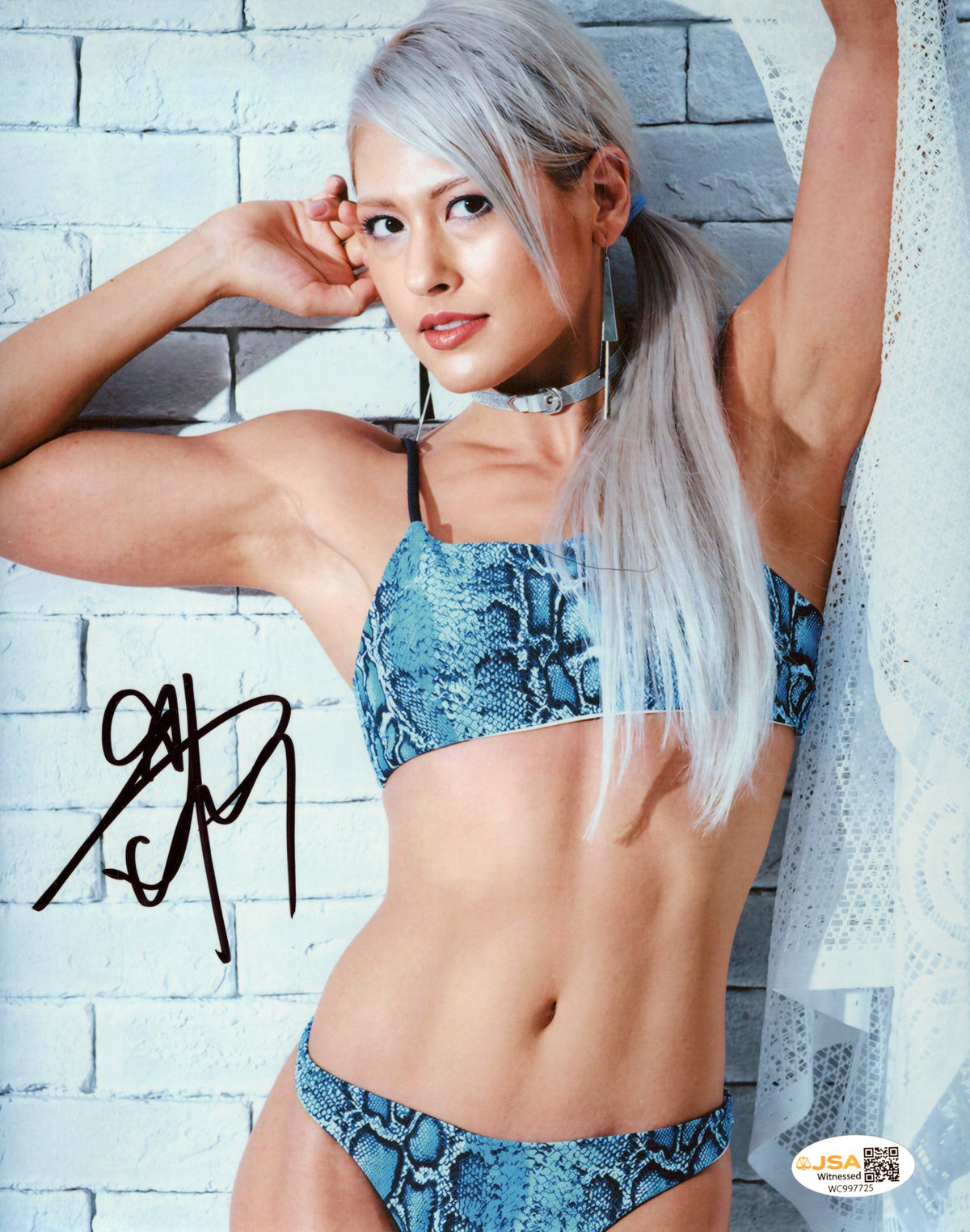 Giulia (metallic 8x10 photo) JSA COA FUNHOUSE METALLIC WWE autographed